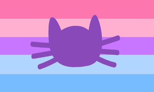 catgender flag :3