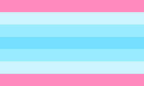 transmasc flag :3